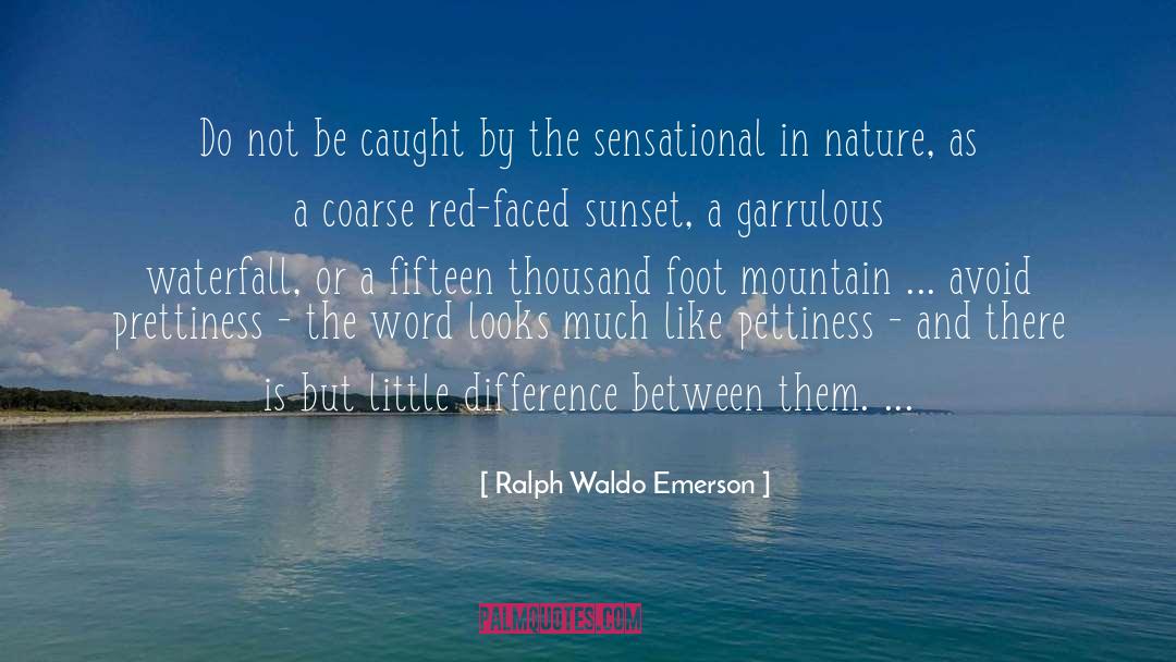 Pettiness quotes by Ralph Waldo Emerson