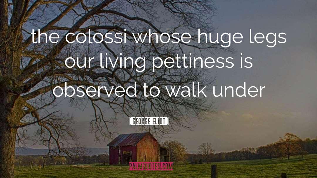 Pettiness quotes by George Eliot