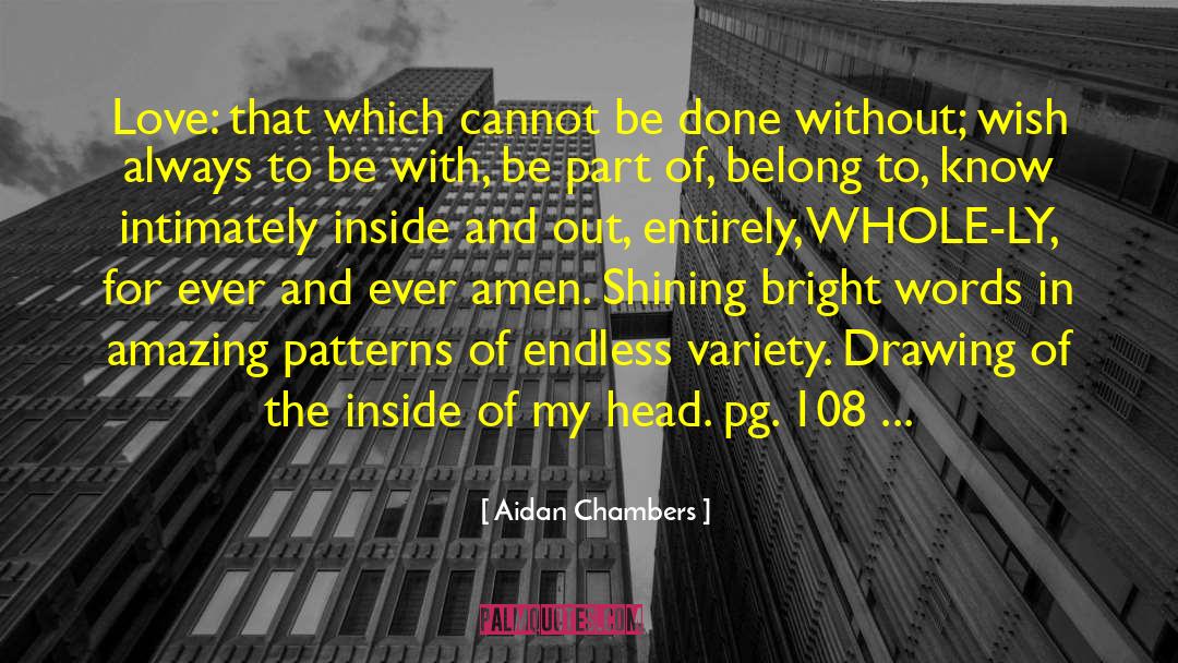 Pg 39 quotes by Aidan Chambers