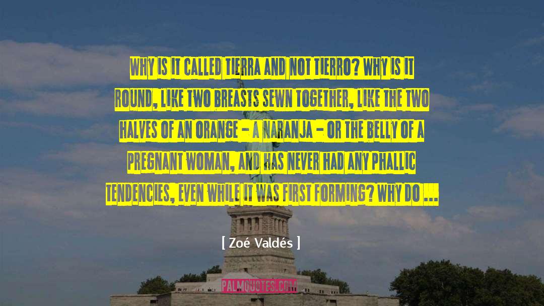 Phallic quotes by Zoé Valdés