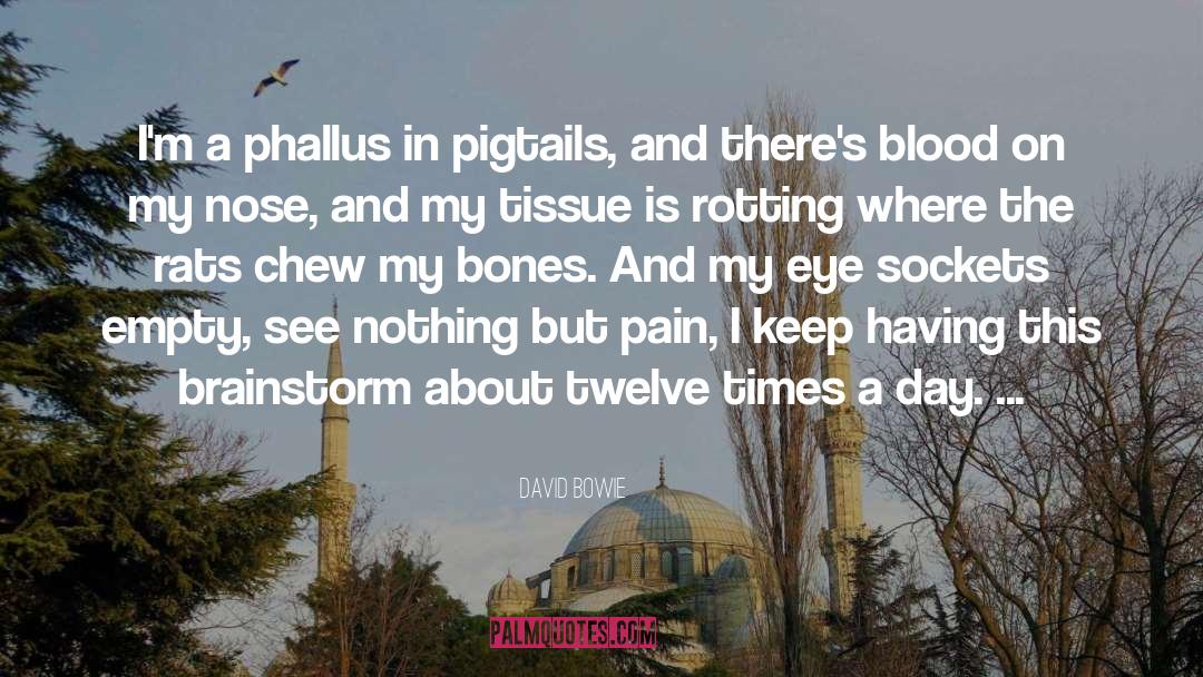 Phallus Rubicundus quotes by David Bowie
