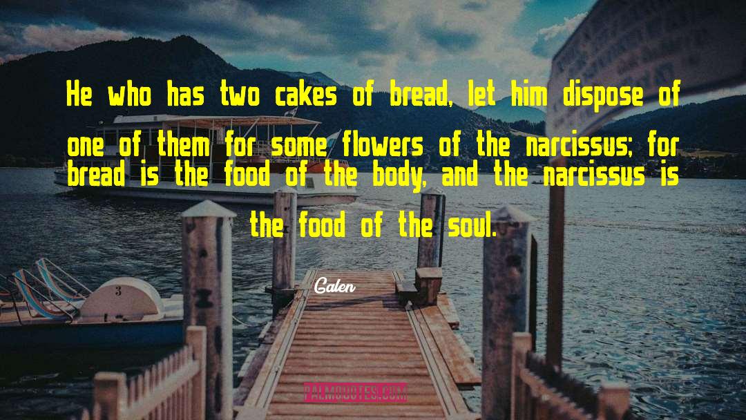 Phanourios Cake quotes by Galen