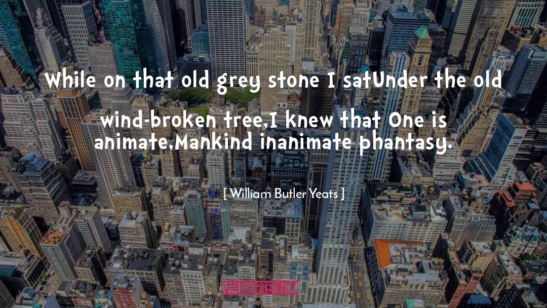 Phantasy quotes by William Butler Yeats