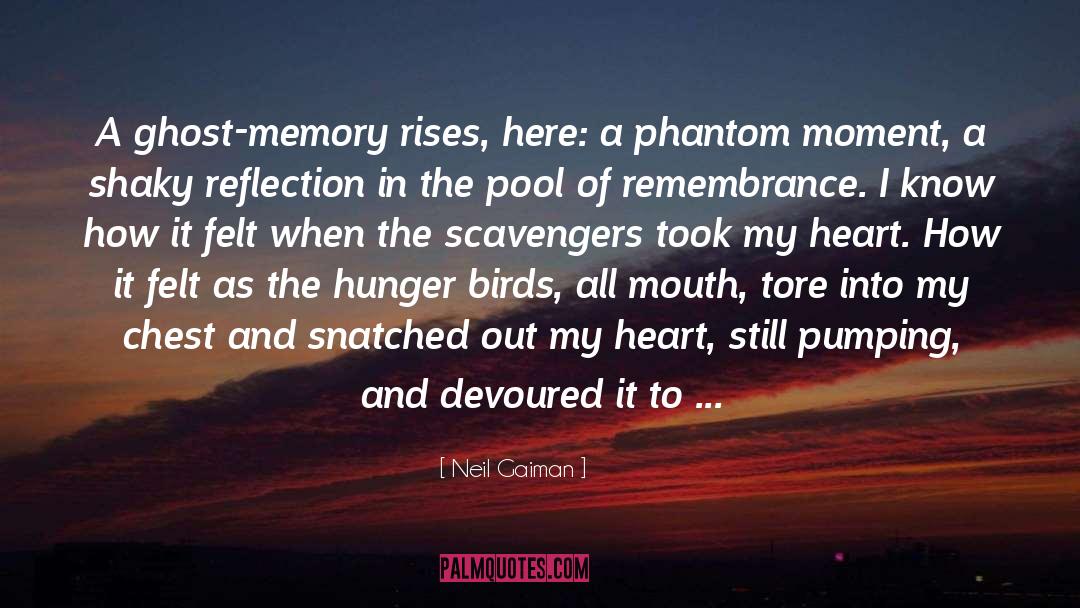 Phantom Histories quotes by Neil Gaiman