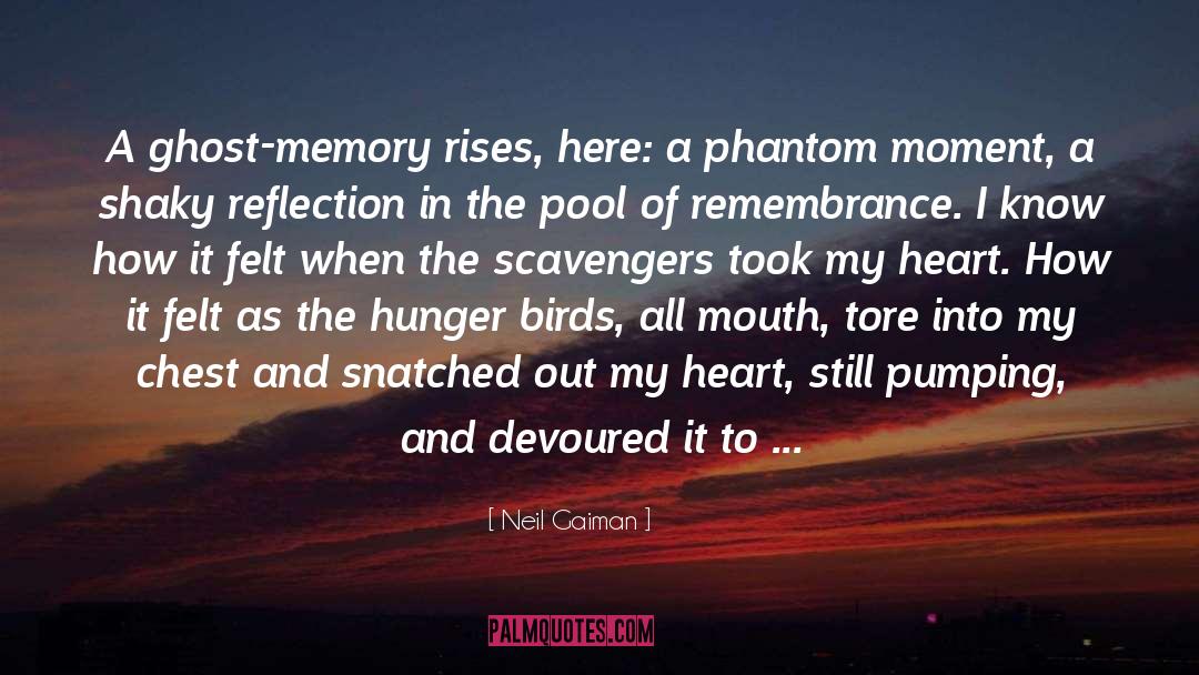 Phantom Limb quotes by Neil Gaiman