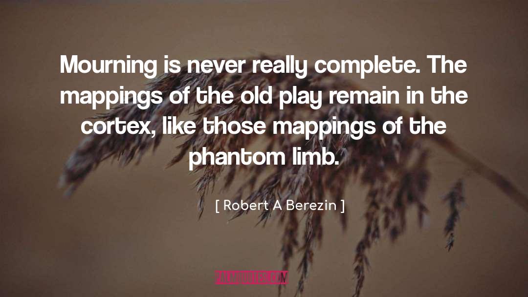 Phantom Limb quotes by Robert A Berezin