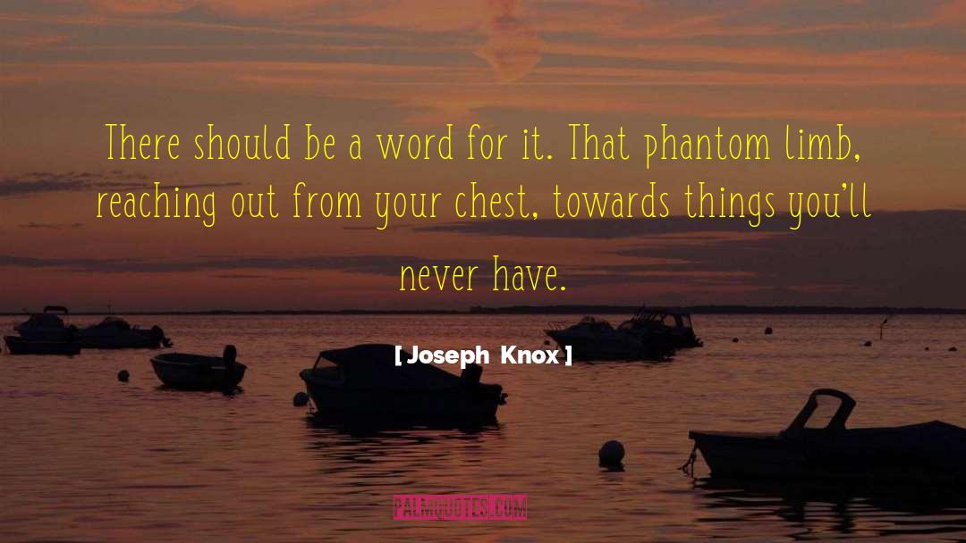 Phantom Limb quotes by Joseph  Knox