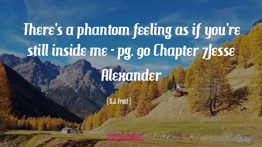 Phantom S Veil quotes by S.J. Frost