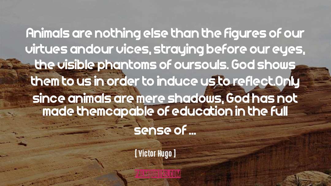 Phantoms quotes by Victor Hugo