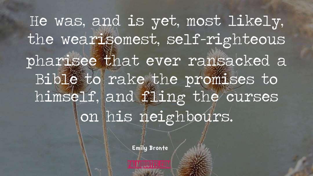Pharisee quotes by Emily Bronte