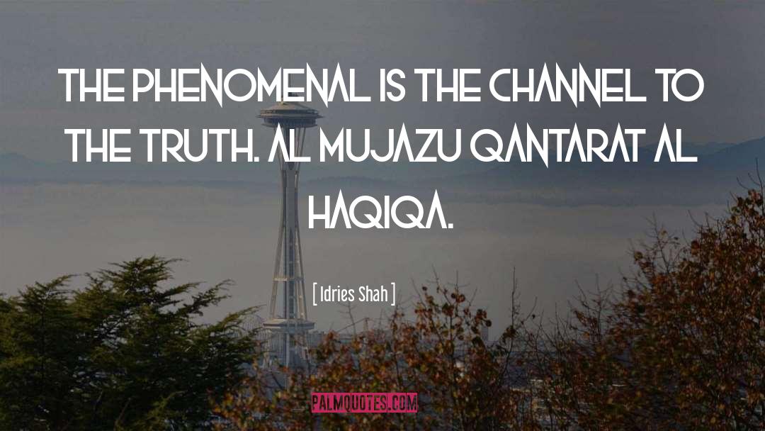 Phenomenal quotes by Idries Shah