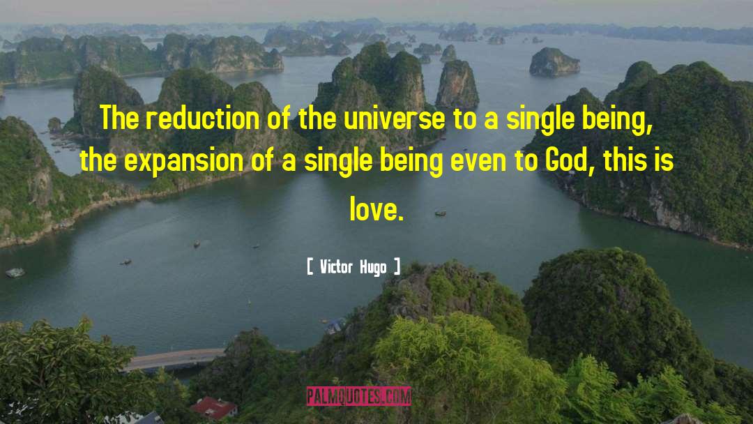 Phenomenological Reduction quotes by Victor Hugo