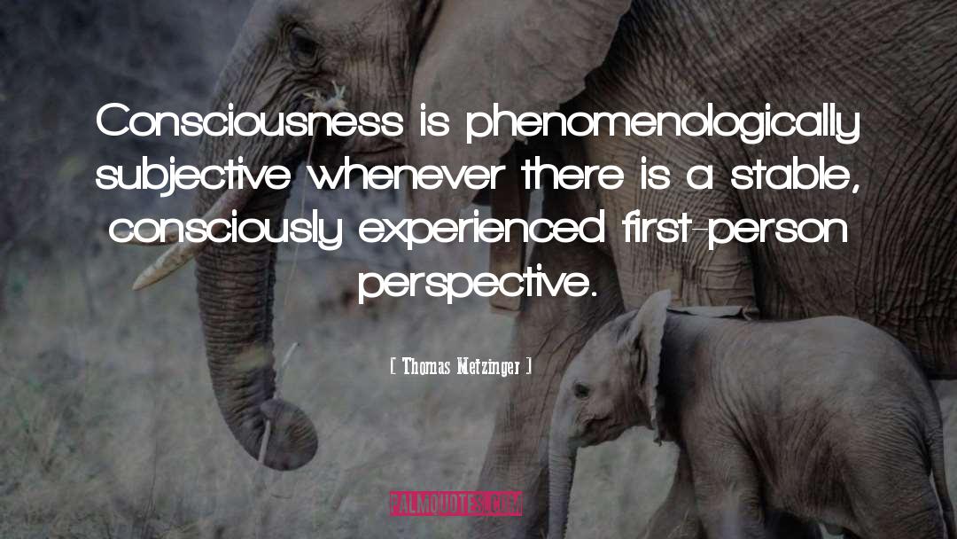 Phenomenologically Define quotes by Thomas Metzinger