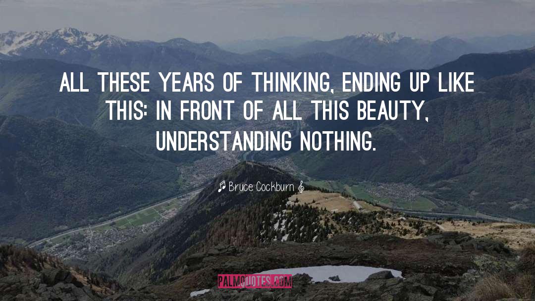 Phenomenology Of Beauty quotes by Bruce Cockburn