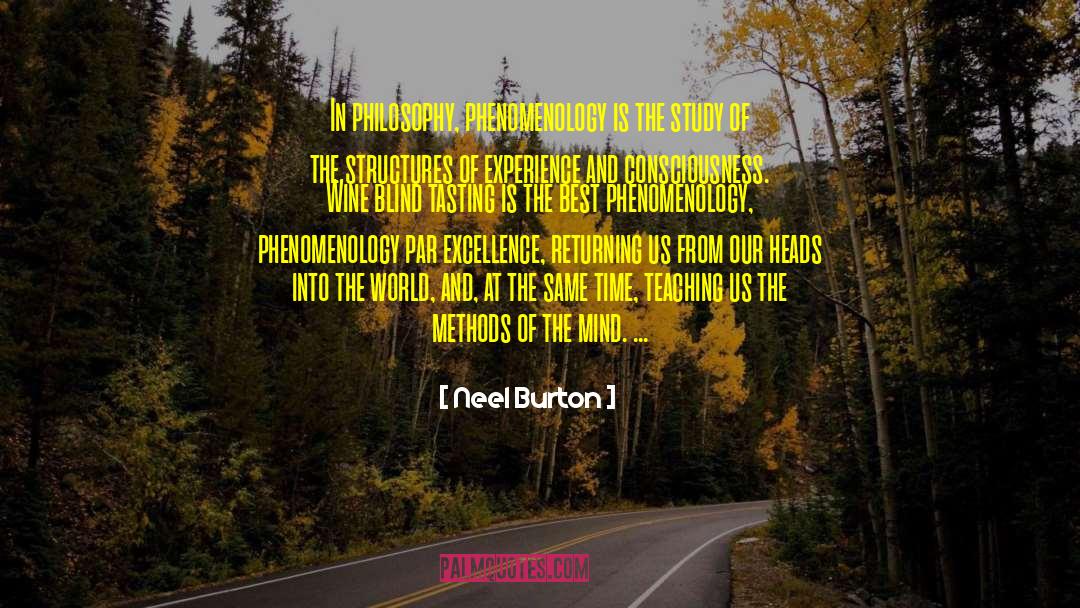 Phenomenology quotes by Neel Burton