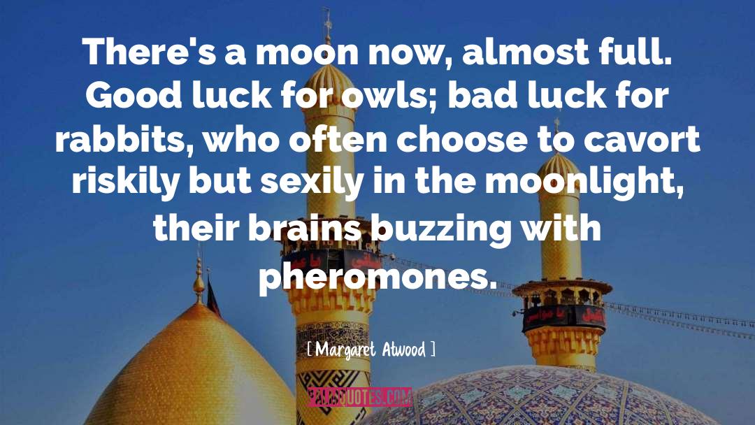 Pheromones quotes by Margaret Atwood