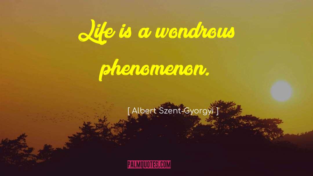 Phi Phenomenon quotes by Albert Szent-Gyorgyi