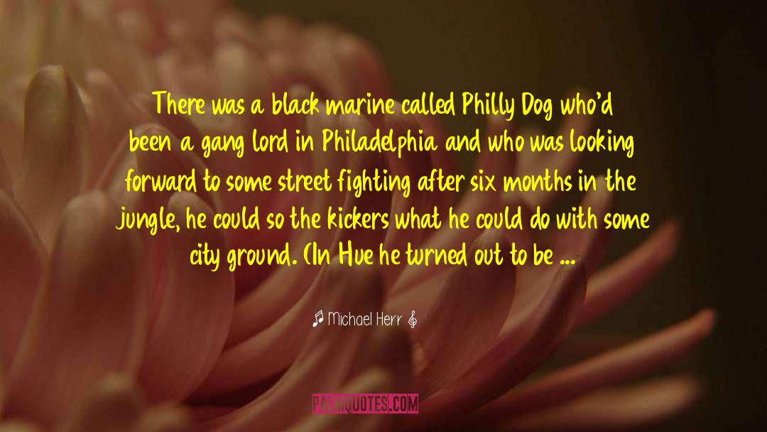 Philly quotes by Michael Herr