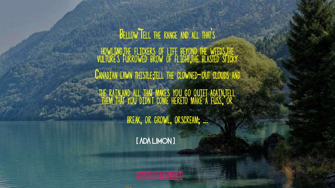 Philomene Bel Air quotes by Ada Limon