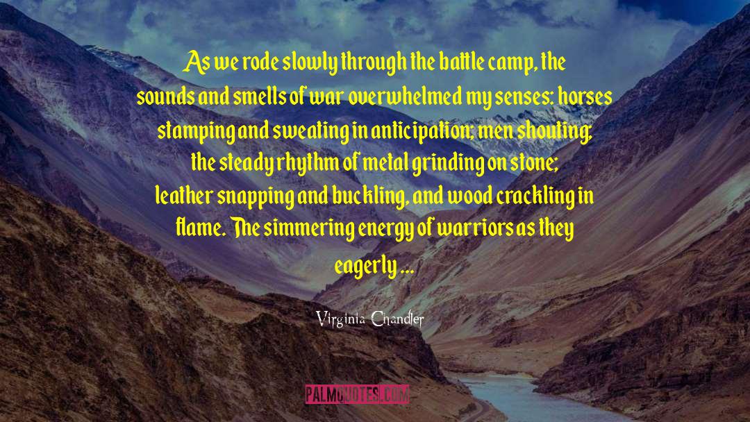 Philosophers Stone quotes by Virginia Chandler