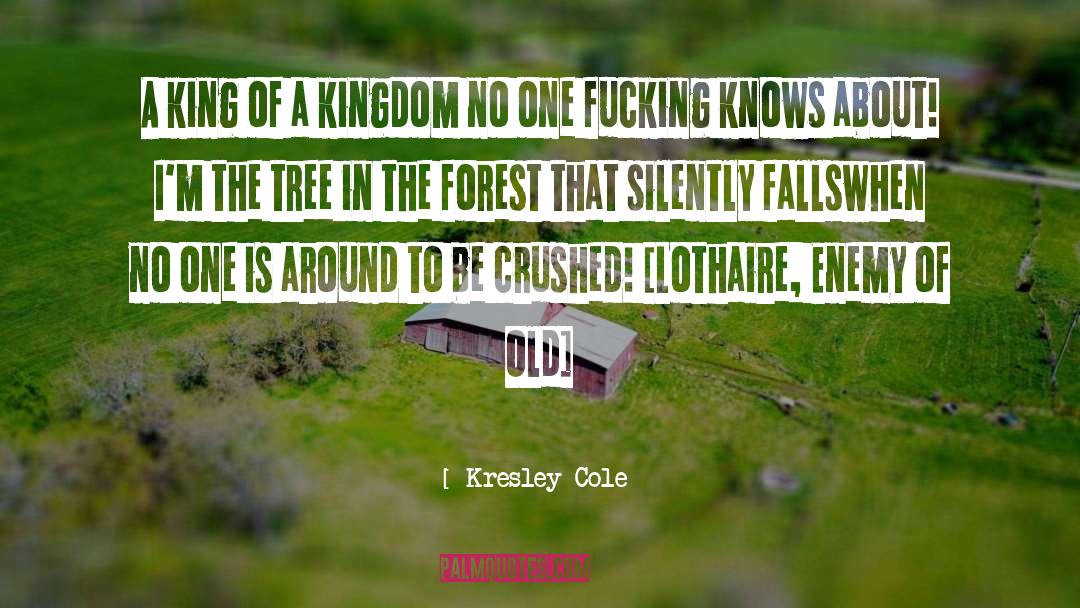 Philosophical Musings quotes by Kresley Cole