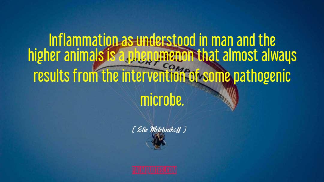 Philosophy Of Animals quotes by Elie Metchnikoff