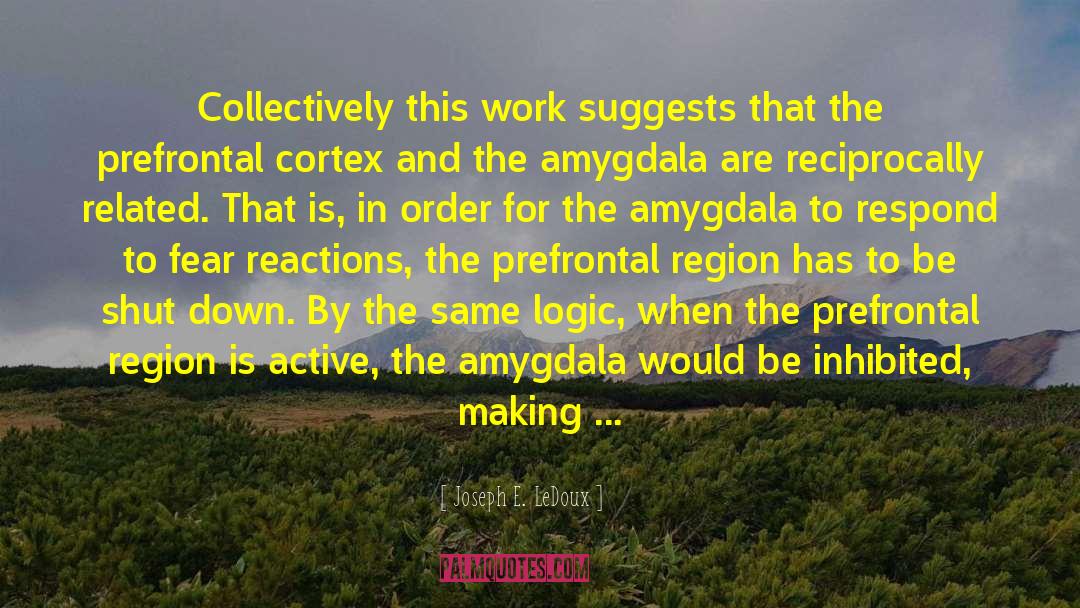 Philosophy Of Logic quotes by Joseph E. LeDoux