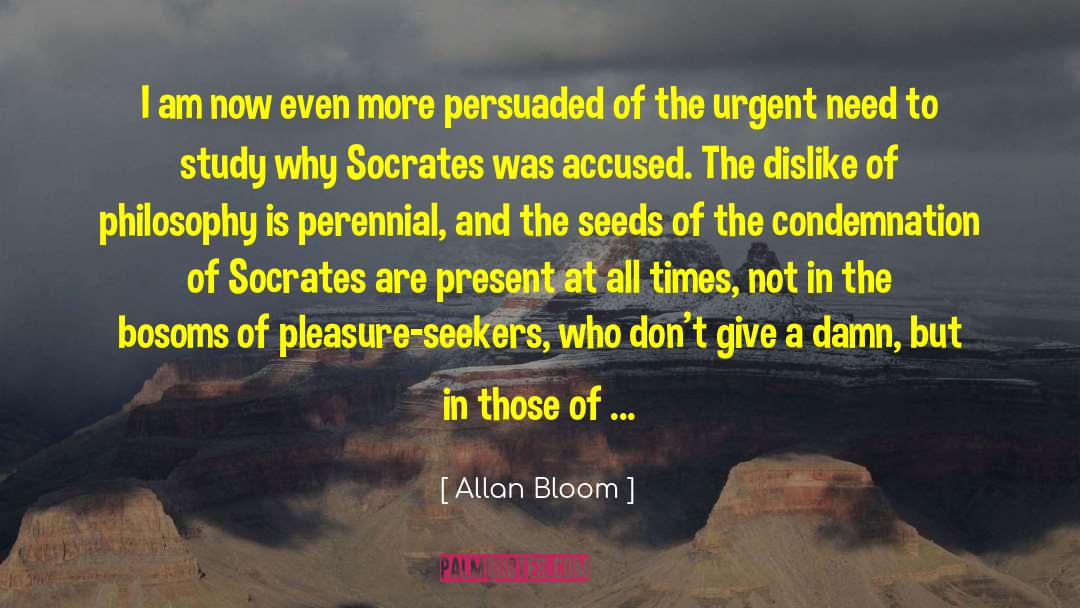 Philosophy Socrates quotes by Allan Bloom