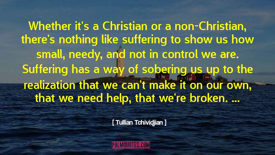 Philosphy Of A Non Thinker quotes by Tullian Tchividjian