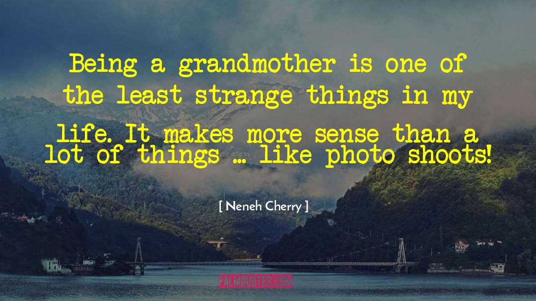 Photo Shoots quotes by Neneh Cherry