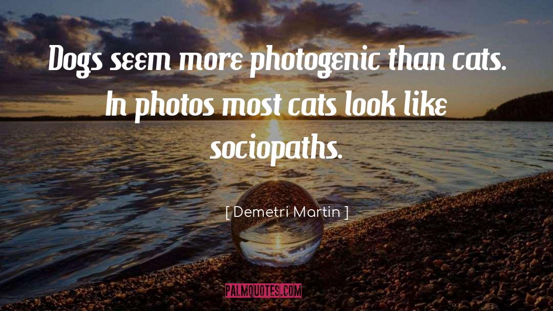 Photogenic quotes by Demetri Martin