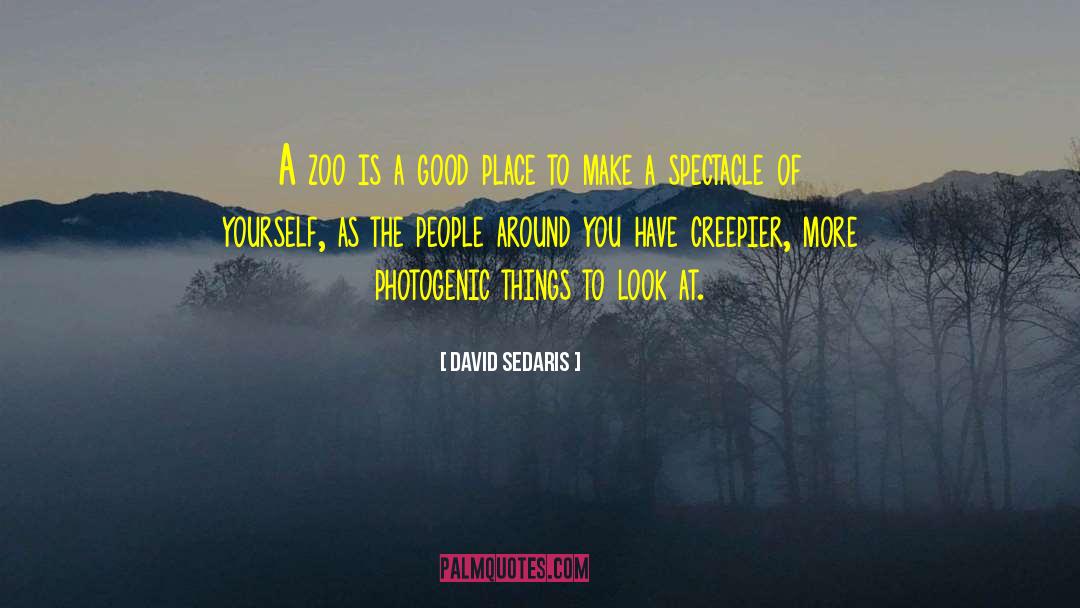 Photogenic quotes by David Sedaris