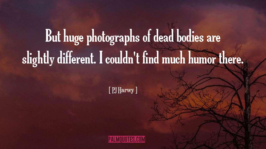 Photograph quotes by PJ Harvey