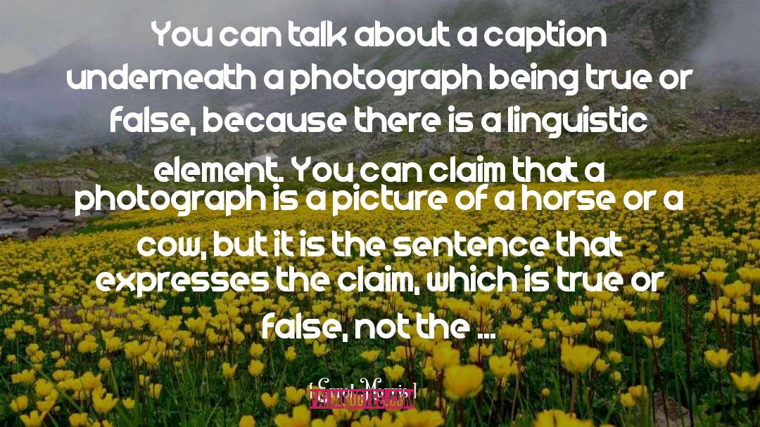 Photograph quotes by Errol Morris