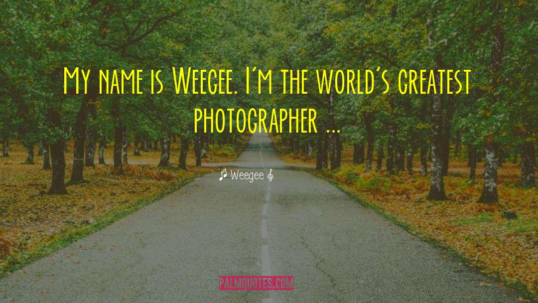 Photographer Bio quotes by Weegee
