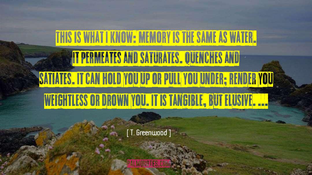 Photographic Memory quotes by T. Greenwood