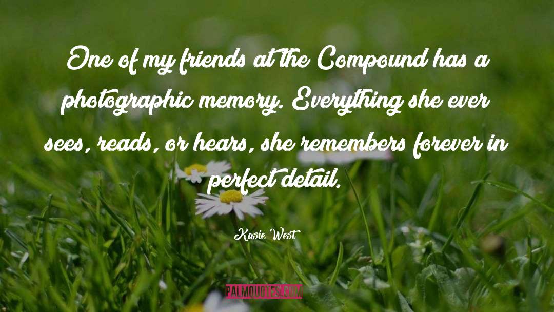 Photographic Memory quotes by Kasie West