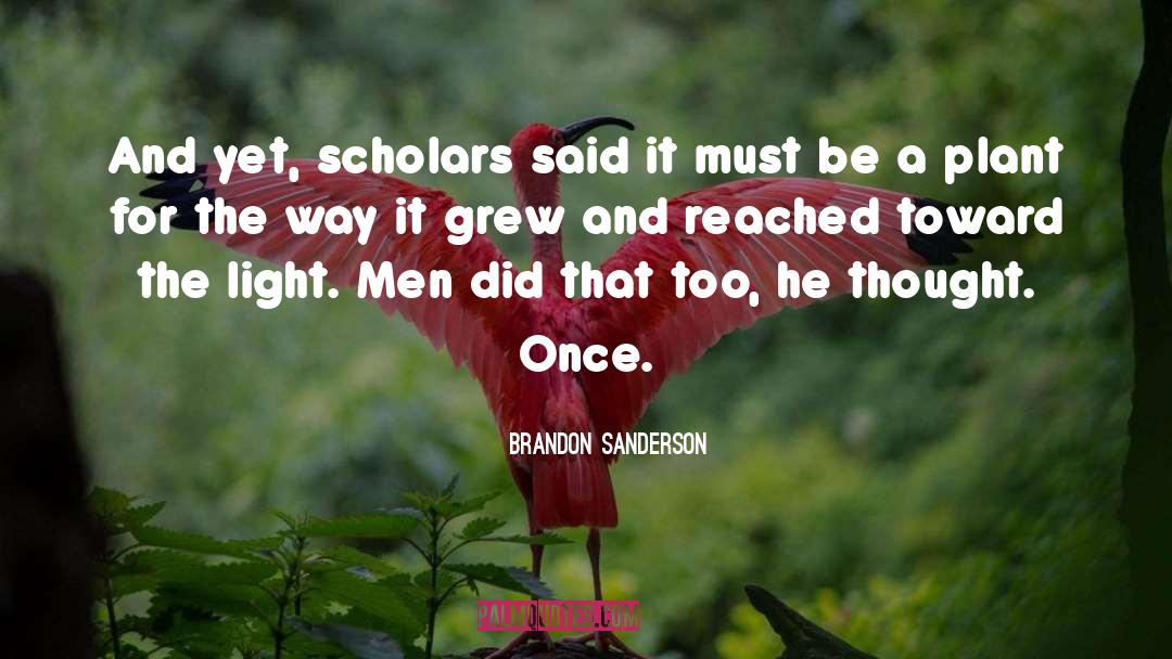 Photography And Light quotes by Brandon Sanderson