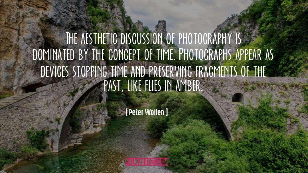 Photography By Photographers quotes by Peter Wollen