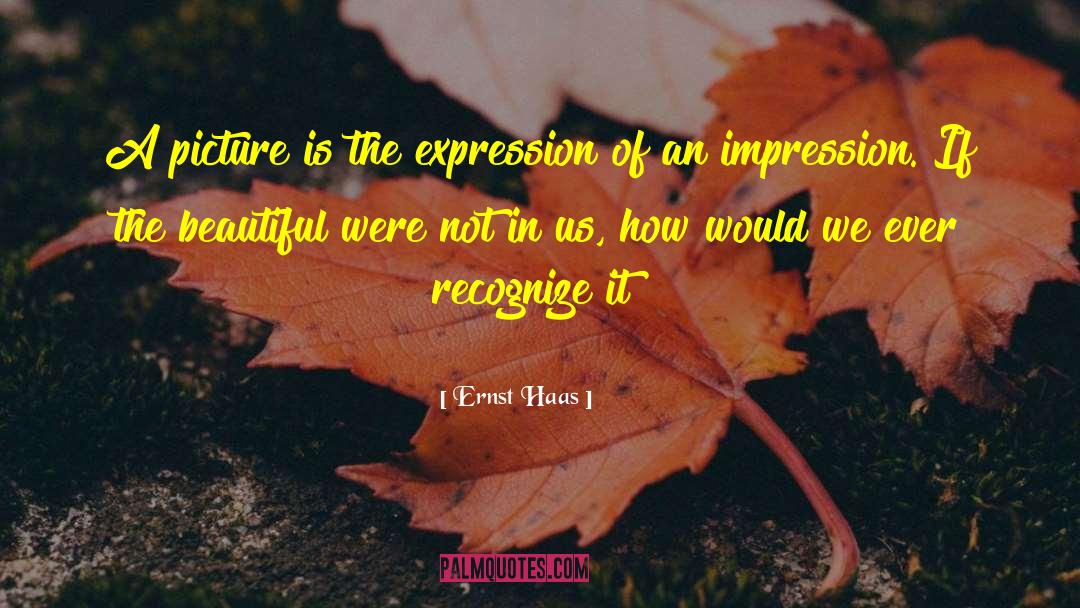 Photography Photographer quotes by Ernst Haas