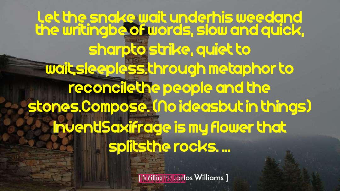 Photography Poetry quotes by William Carlos Williams