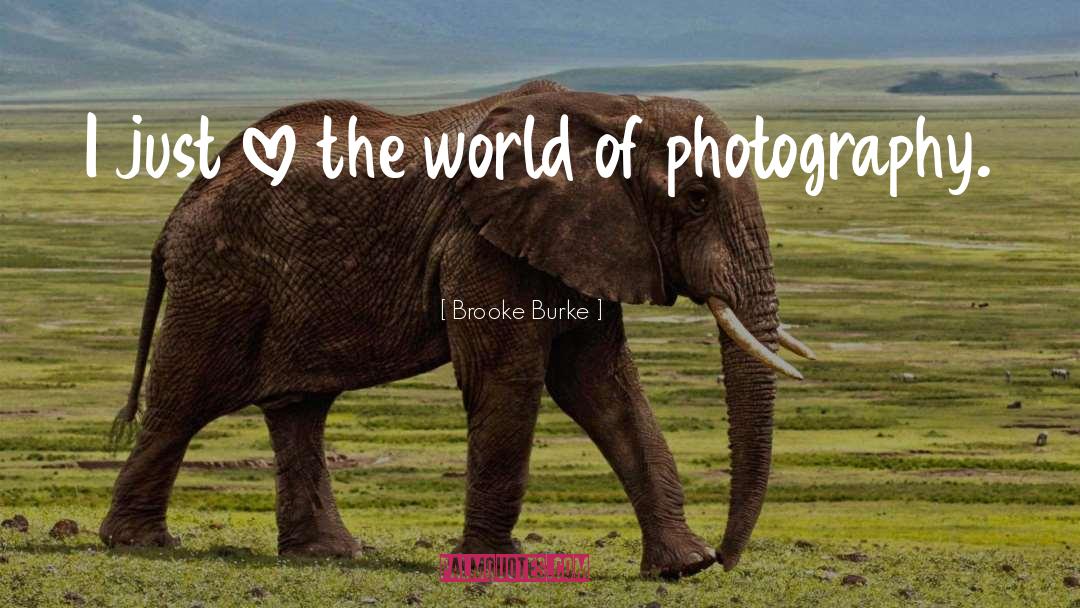 Photography quotes by Brooke Burke
