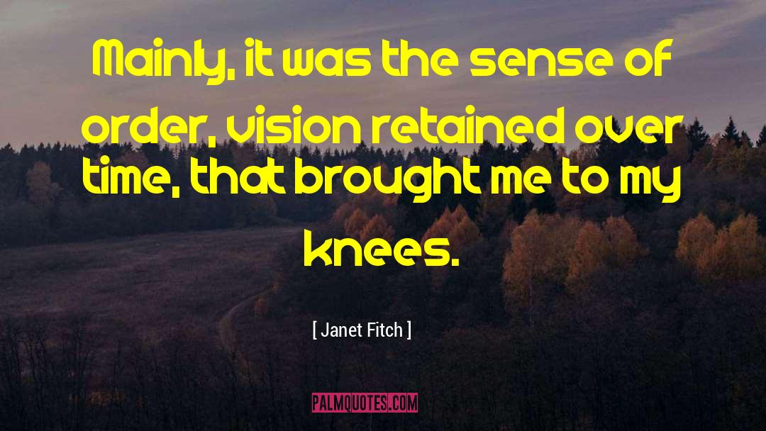 Photography Vision quotes by Janet Fitch