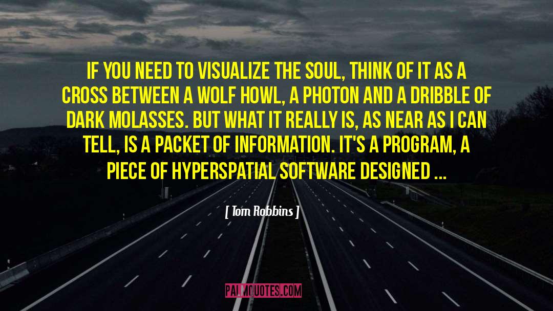 Photon Qudit quotes by Tom Robbins