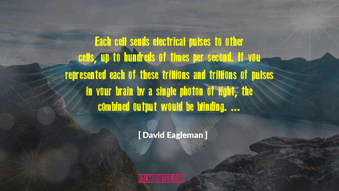 Photon Qudit quotes by David Eagleman