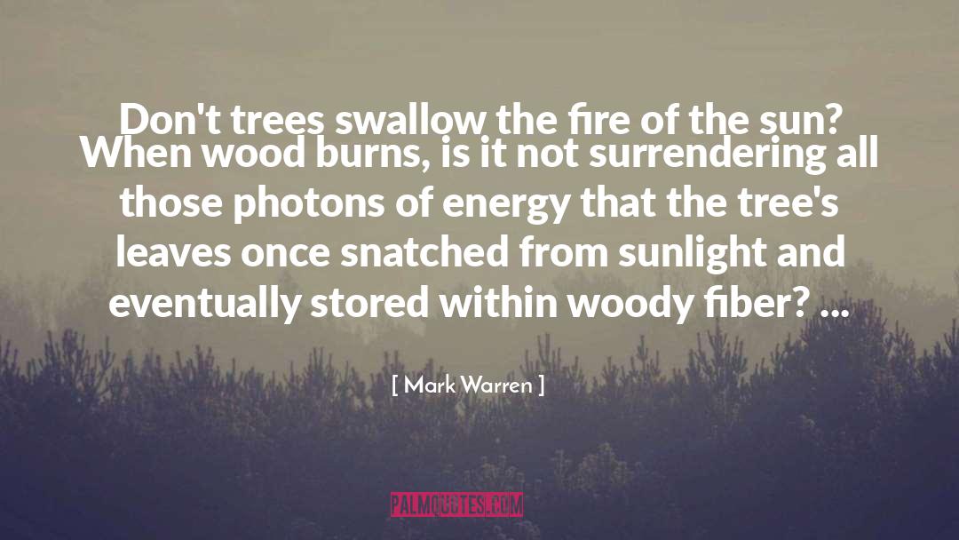 Photons quotes by Mark Warren