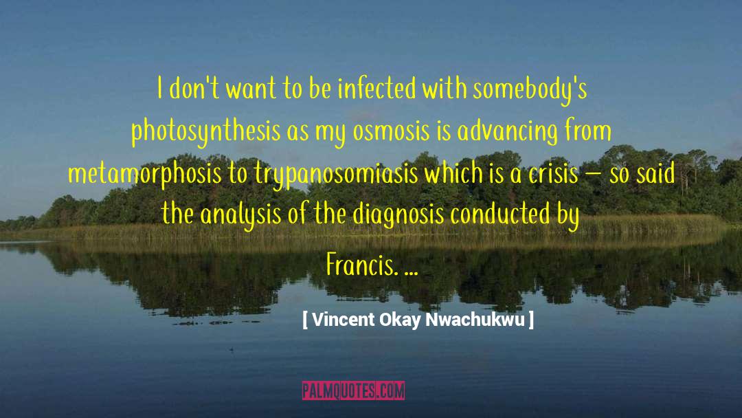 Photosynthesis quotes by Vincent Okay Nwachukwu