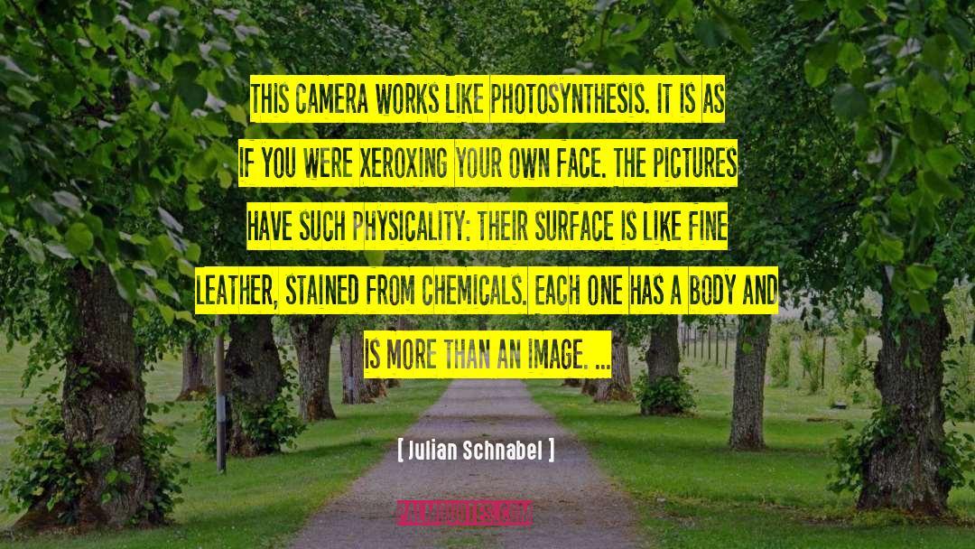 Photosynthesis quotes by Julian Schnabel