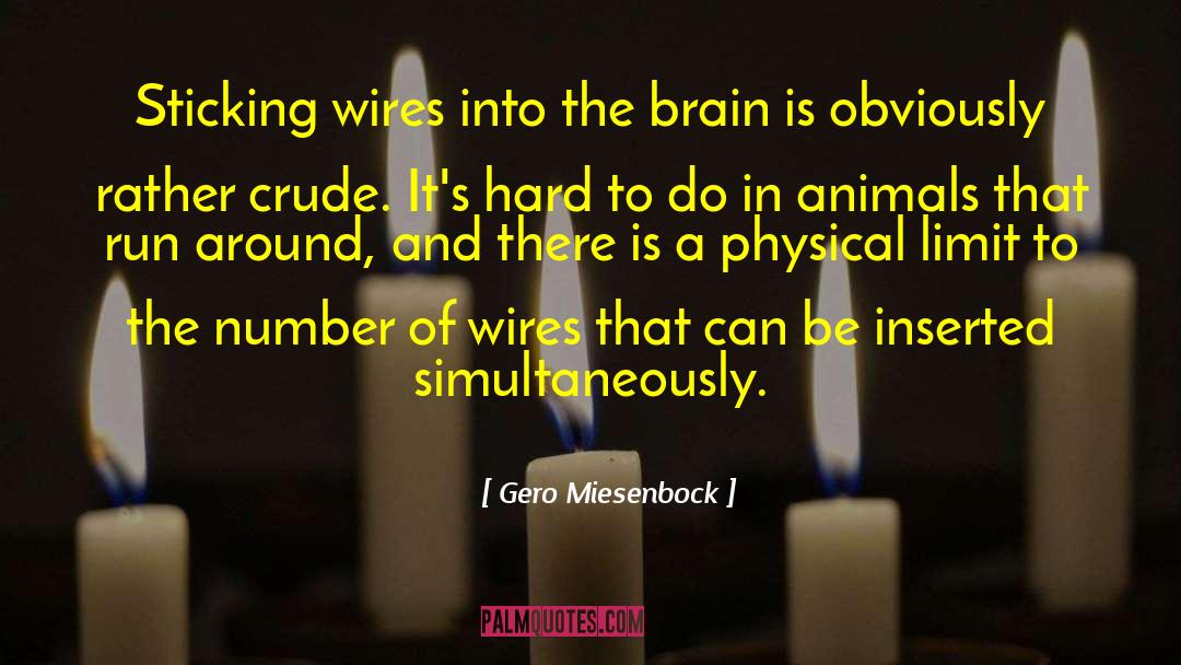 Physical Events quotes by Gero Miesenbock