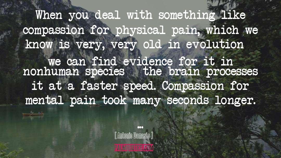 Physical Pain quotes by Antonio Damasio